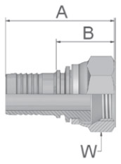 B5