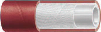   Enotria 10