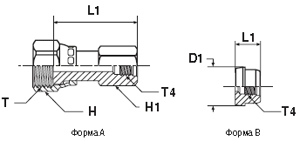 TT4ML    